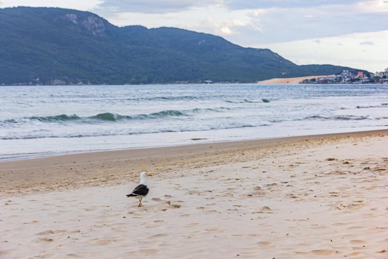 Cobertura com Vista Mar para 6 hóspedes, 150 metros da Praia dos Ingleses Florianopolis Exterior foto